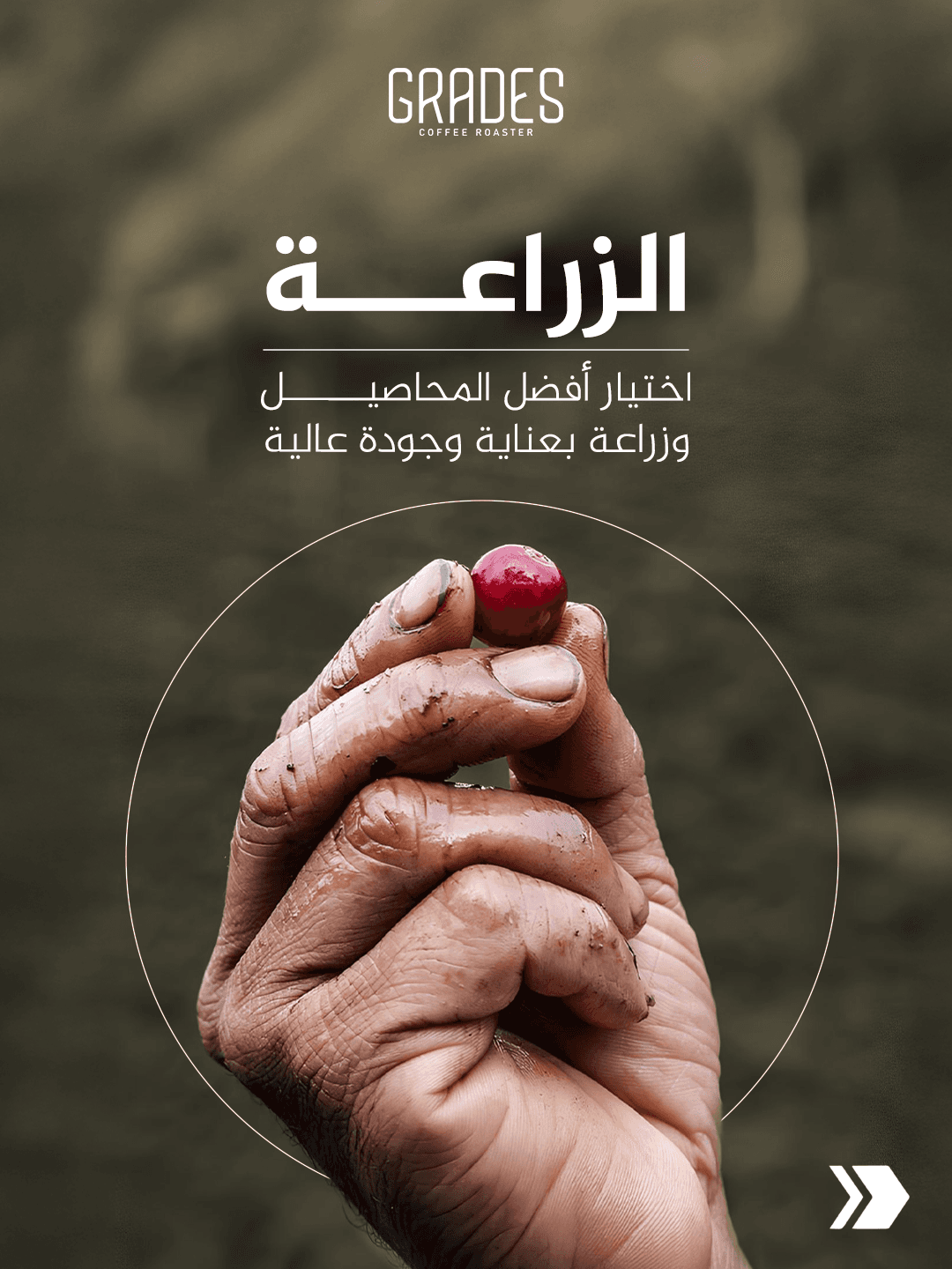 من المزرعة إلى الكوب — 1