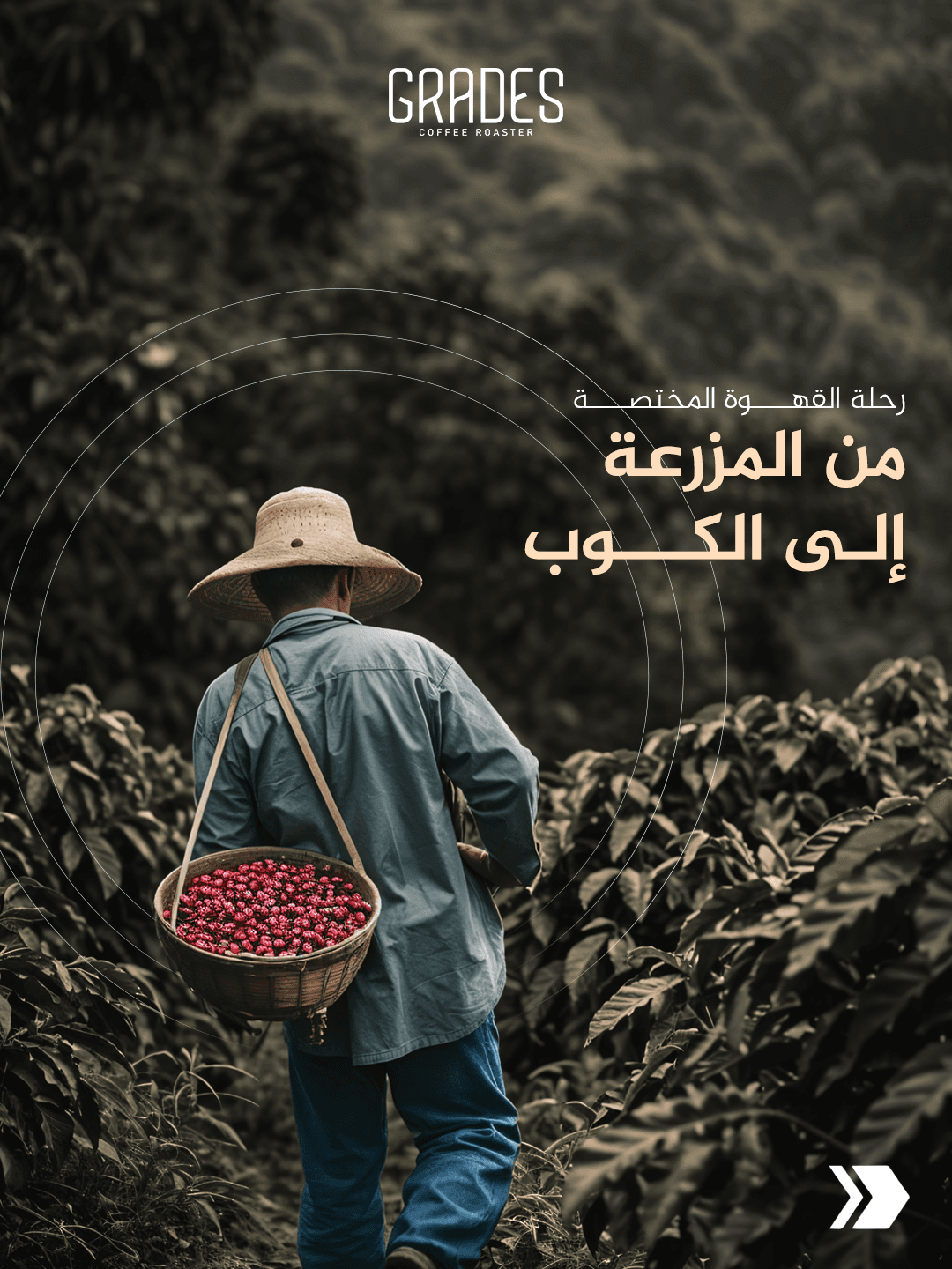بداية الرحلة